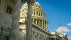 Push to ban stock trading by Congress follows IL rep’s reported violations Push to ban stock trading by Congress follows IL rep’s reported violations