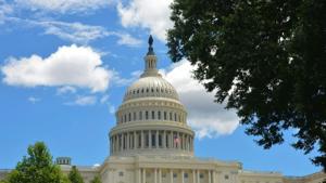 Fed funding of pediatrics group questioned over its gender ideology stance