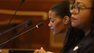 Illinois lawmakers give raises to diversity commissioners they criticized
