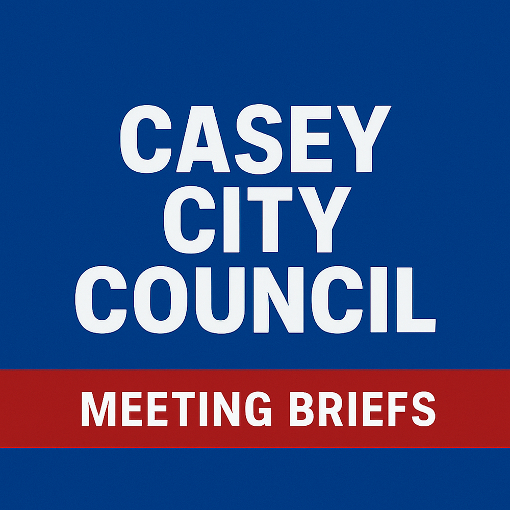 City Council Meeting Briefs.Blue