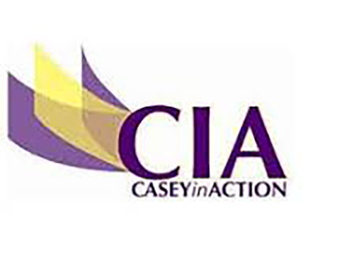 CIA Casey in Action CIA Casey in Action