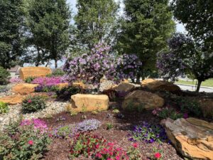 Beauty around the Rocking Chair