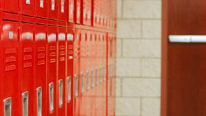 Reporting firearm threats to principals ‘common sense,’ IL legislator says Reporting firearm threats to principals ‘common sense,’ IL legislator says