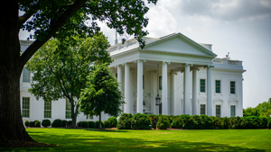 Attorneys general file amicus brief supporting DEI policies Attorneys general file amicus brief supporting DEI policies