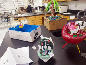 From Creative Cells to Chemical Reactions: Science in Action