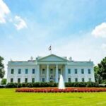America 250: Celebrating presidential pets