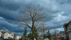 Illinois Quick Hits: 178 Illinois tornadoes so far in 2026