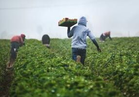 Pew: U.S. immigrant population declines for first time in nearly 60 years