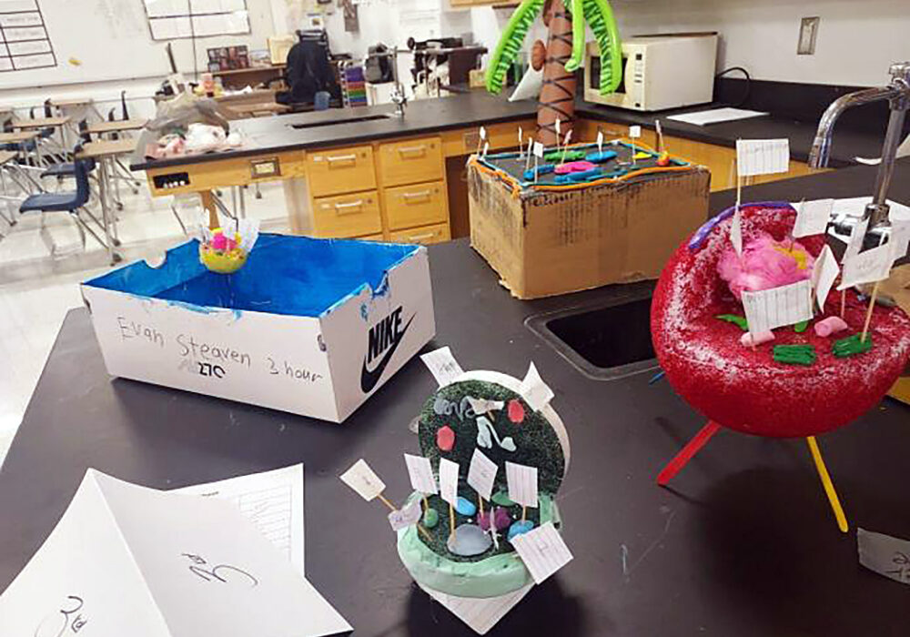 7th Graders have been learning about cells.2