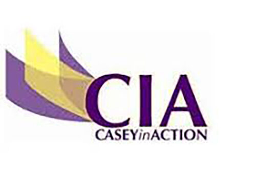 CIA Casey in Action CIA Casey in Action