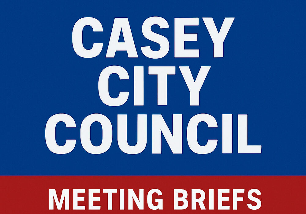 City Council Meeting Briefs.Blue