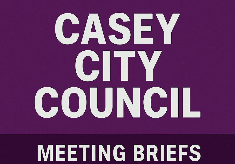 City Council Meeting Briefs.Purple
